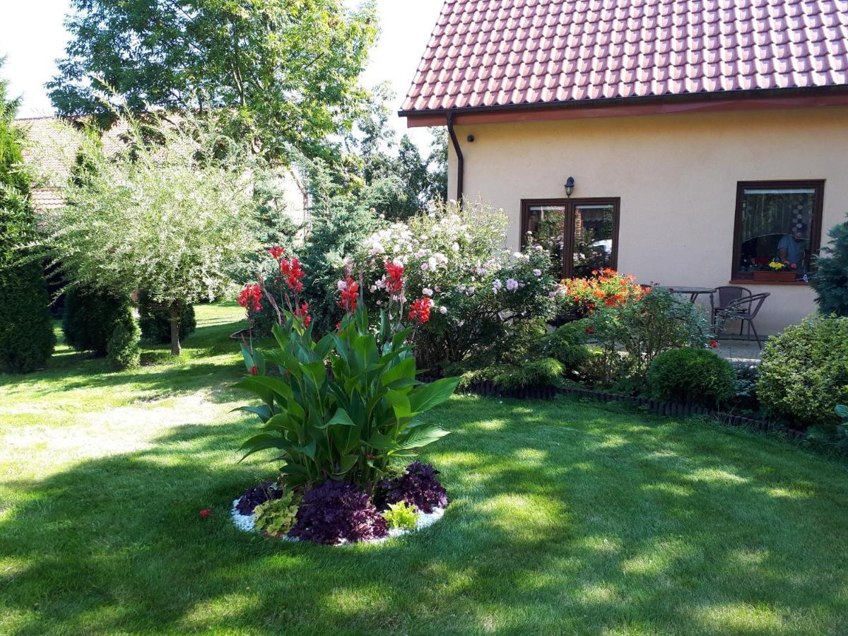 Agroturystyka Druzno Elbląg Exterior foto