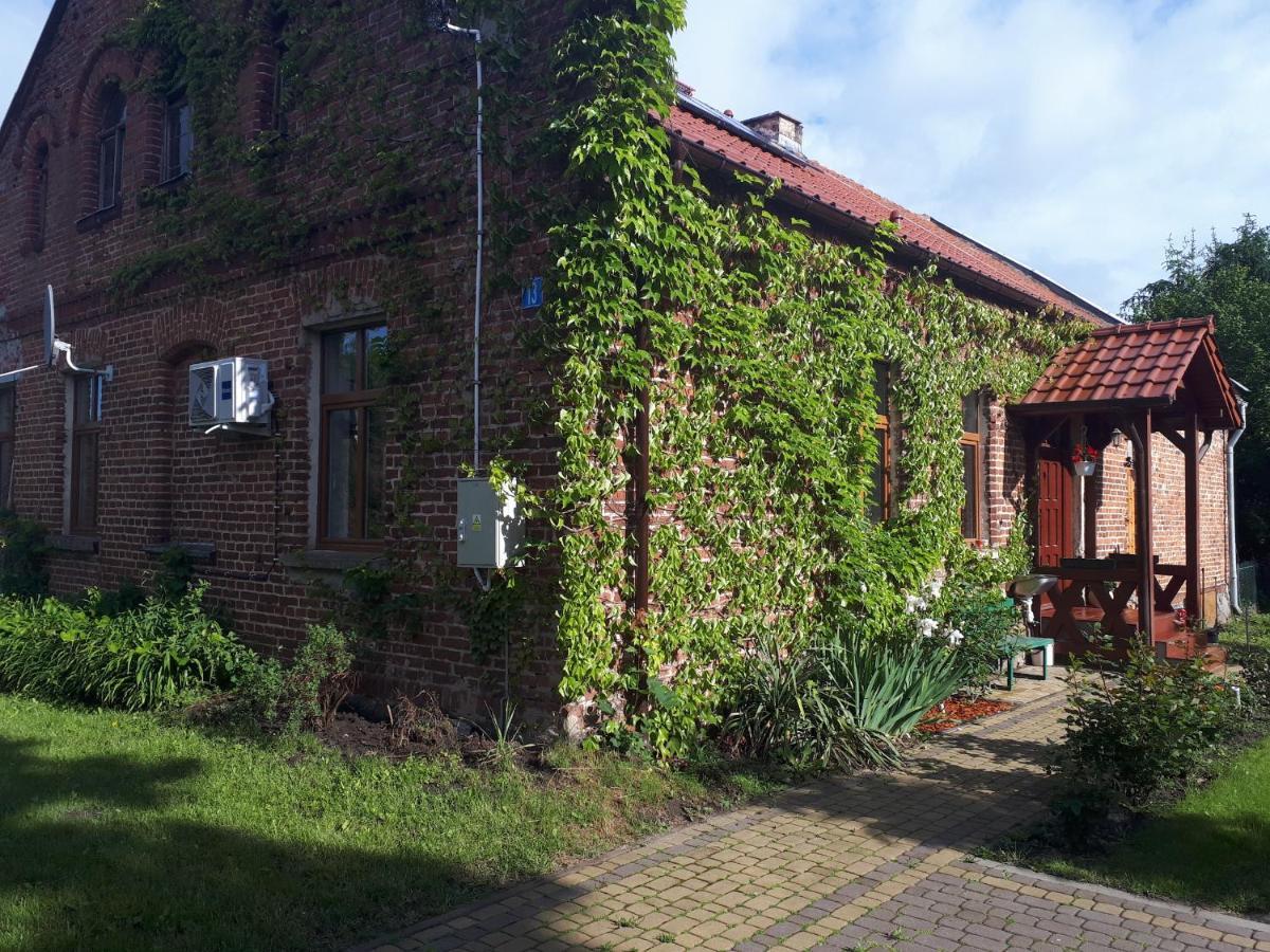 Agroturystyka Druzno Elbląg Exterior foto