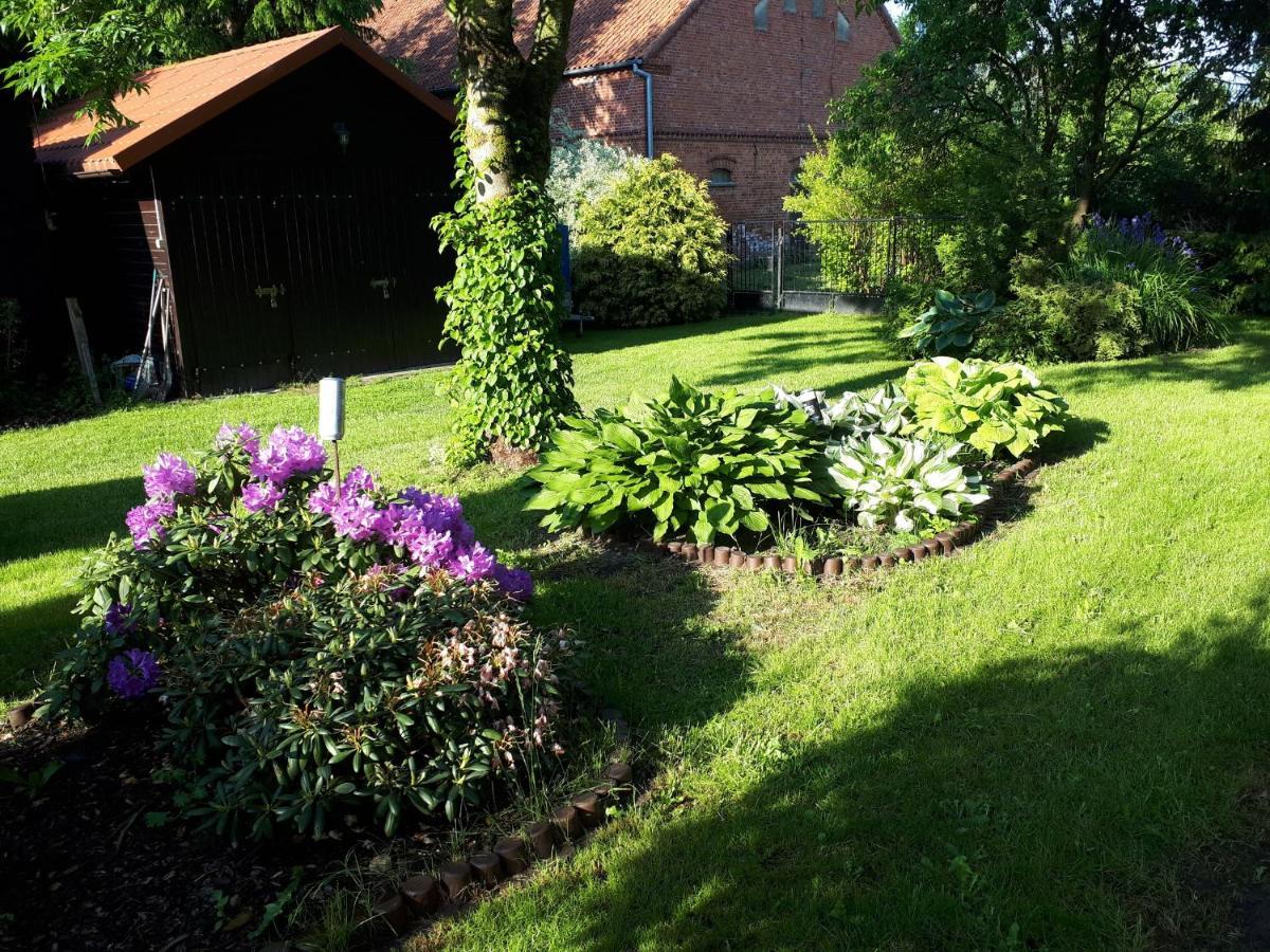 Agroturystyka Druzno Elbląg Exterior foto